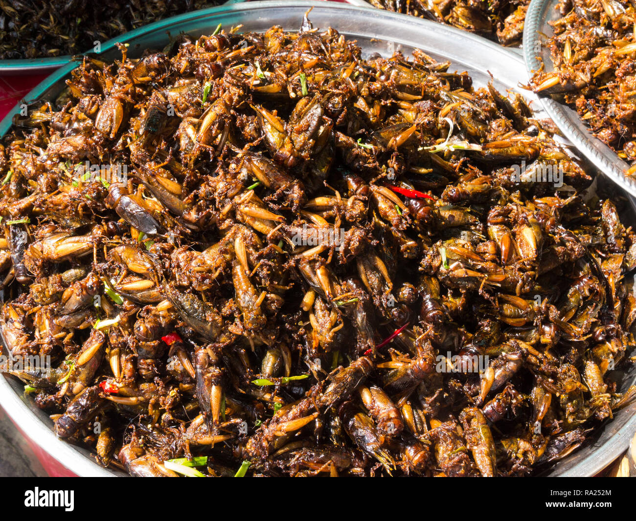 Assiette de criquets frits à vendre à Skuon marché Ville marché Asie Cambodge pied de l'échelle internationale également connu sous le Village d'Araignée Banque D'Images