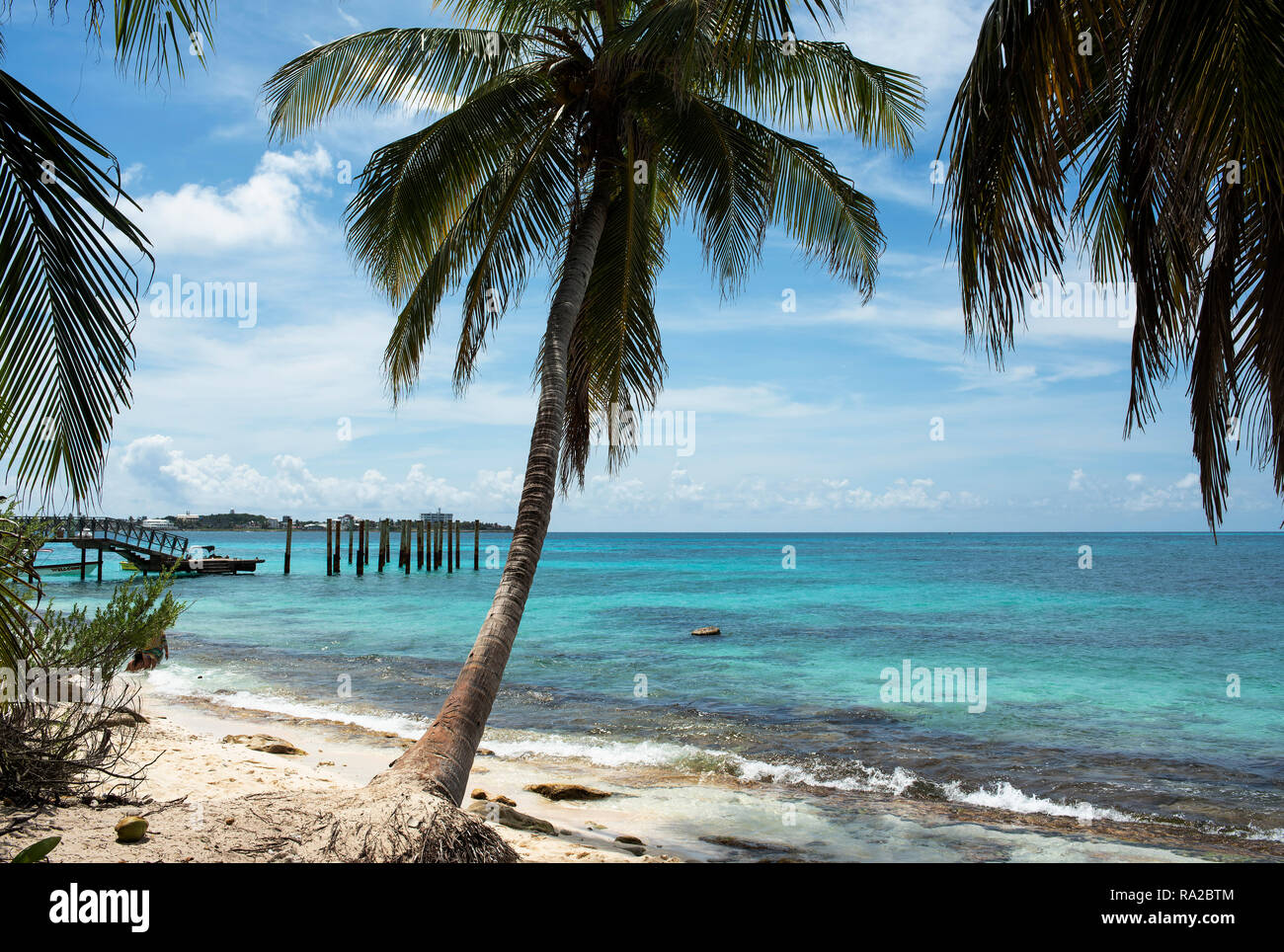L'eau turquoise et les palmiers. Caribbean travel destination : Johnny Cay près de l'île de San Andrés, Colombie. Oct 2018 Banque D'Images