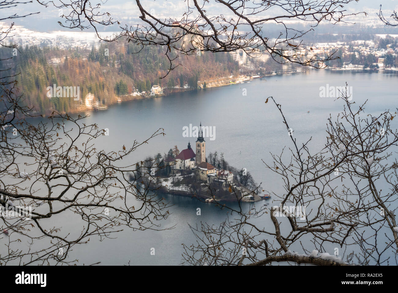 Encadrée dans arbre photo de lac de Bled avec l'église Sainte-Marie de l'assomption sur la petite île de Bled, Slovénie, Europe Banque D'Images