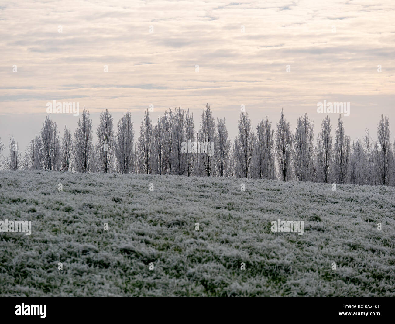 Image de paysage d'hiver romantique après la première neige en Décembre Banque D'Images