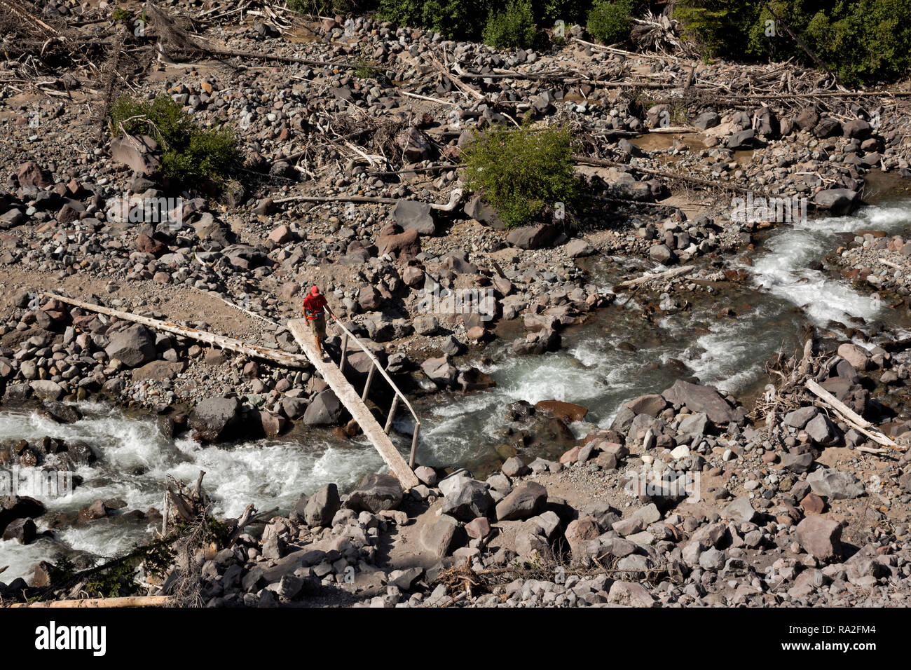 WA15624-00...WASHINGTON - Hiker crossing pont de bois sur la fourche de la rivière White sur le sentier de la Moraine d'Emmons à Mount Rainier National Park. Banque D'Images