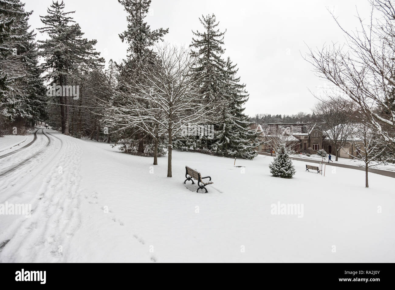 Couleur paysage horizontal montrant des images du parc Springbank à Londres, Ontario Canada après une nouvelle couche de neige de l'hiver couvre le parc. Banque D'Images