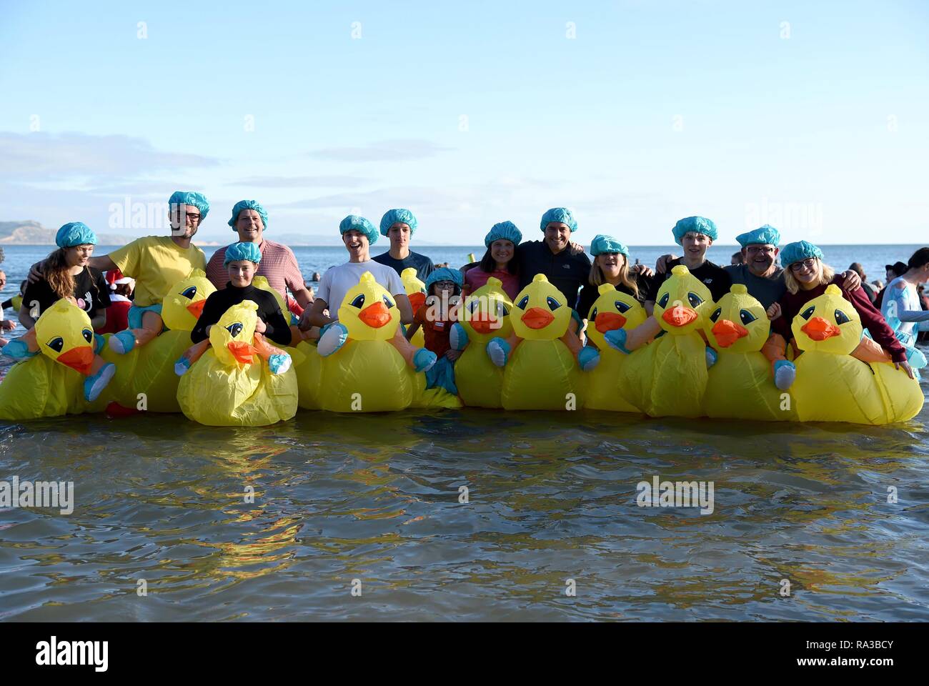Lyme Regis, dans le Dorset. 1er janvier 2019. Profitez des canards nagent, fente de Lyme, New Years nager, Lyme Regis, dans le Dorset Crédit : Finnbarr Webster/Alamy Live News Banque D'Images