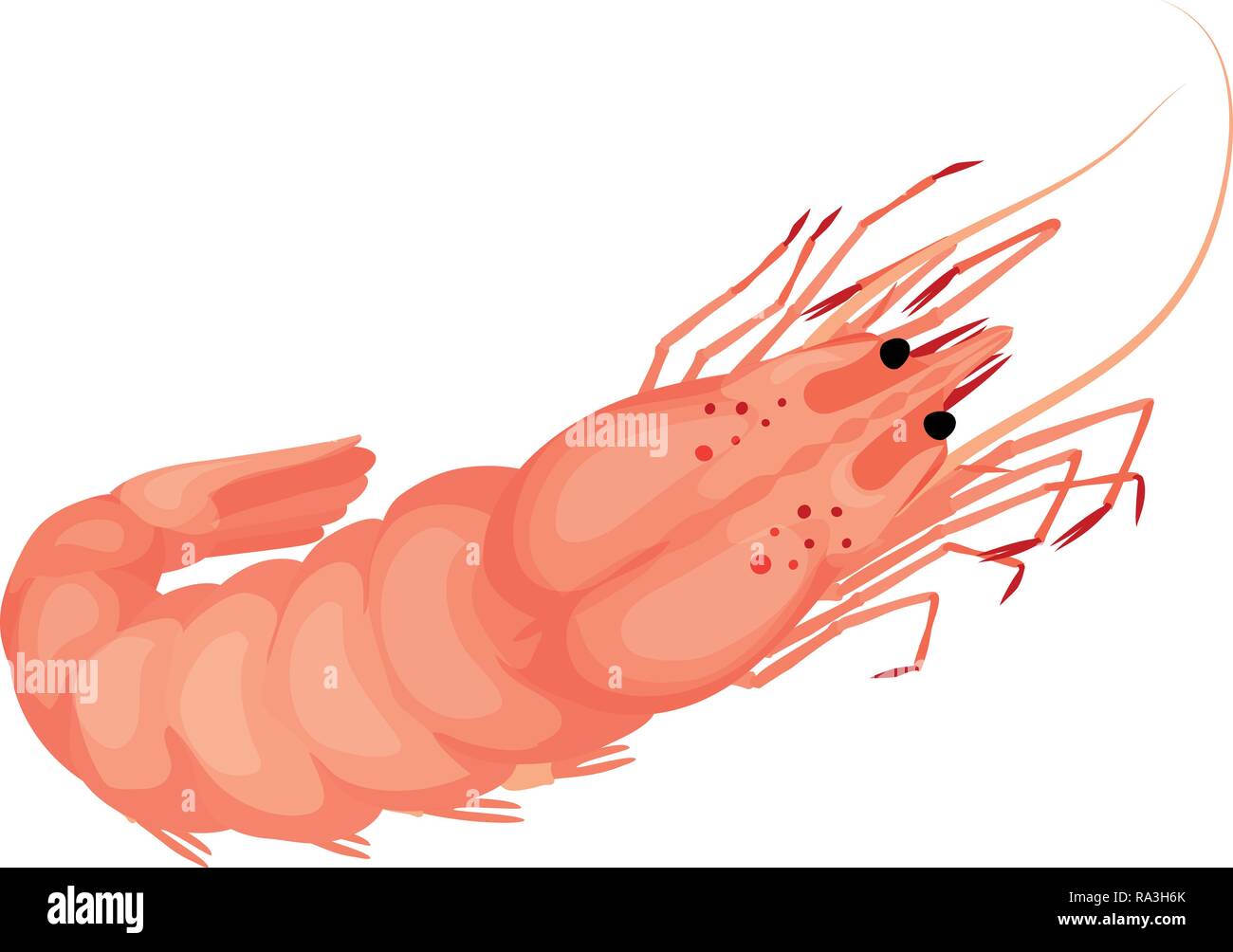 L'icône de la crevette de la mer. Caricature de crevettes de mer icône vecteur pour la conception web isolé sur fond blanc Illustration de Vecteur
