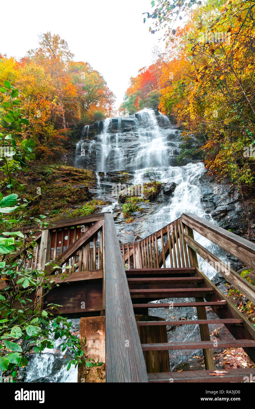 Cascade pittoresque vue dans Amicalola State Park, Georgia, United States. L'eau s'écoule d'entre les grands arbres de l'automne. Banque D'Images