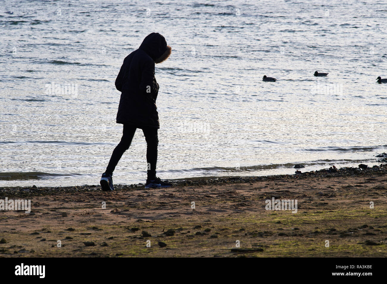 Une personne marche solitaire le long de la rive d'un lac avec la tête s'inclina et les mains dans la poche sur une froide journée d'hiver. Banque D'Images