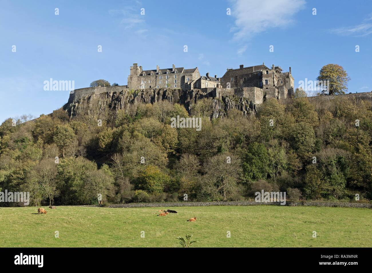 Le Château de Stirling, Stirling, Ecosse, Royaume-Uni Banque D'Images