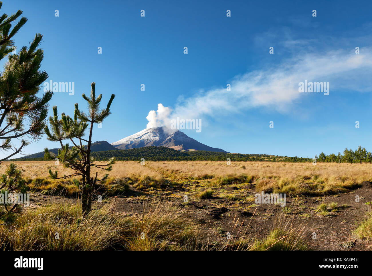 Fumerolle sort du volcan Popocatepetl vu de l'Izta-Popo Zoquiapan National Park Banque D'Images