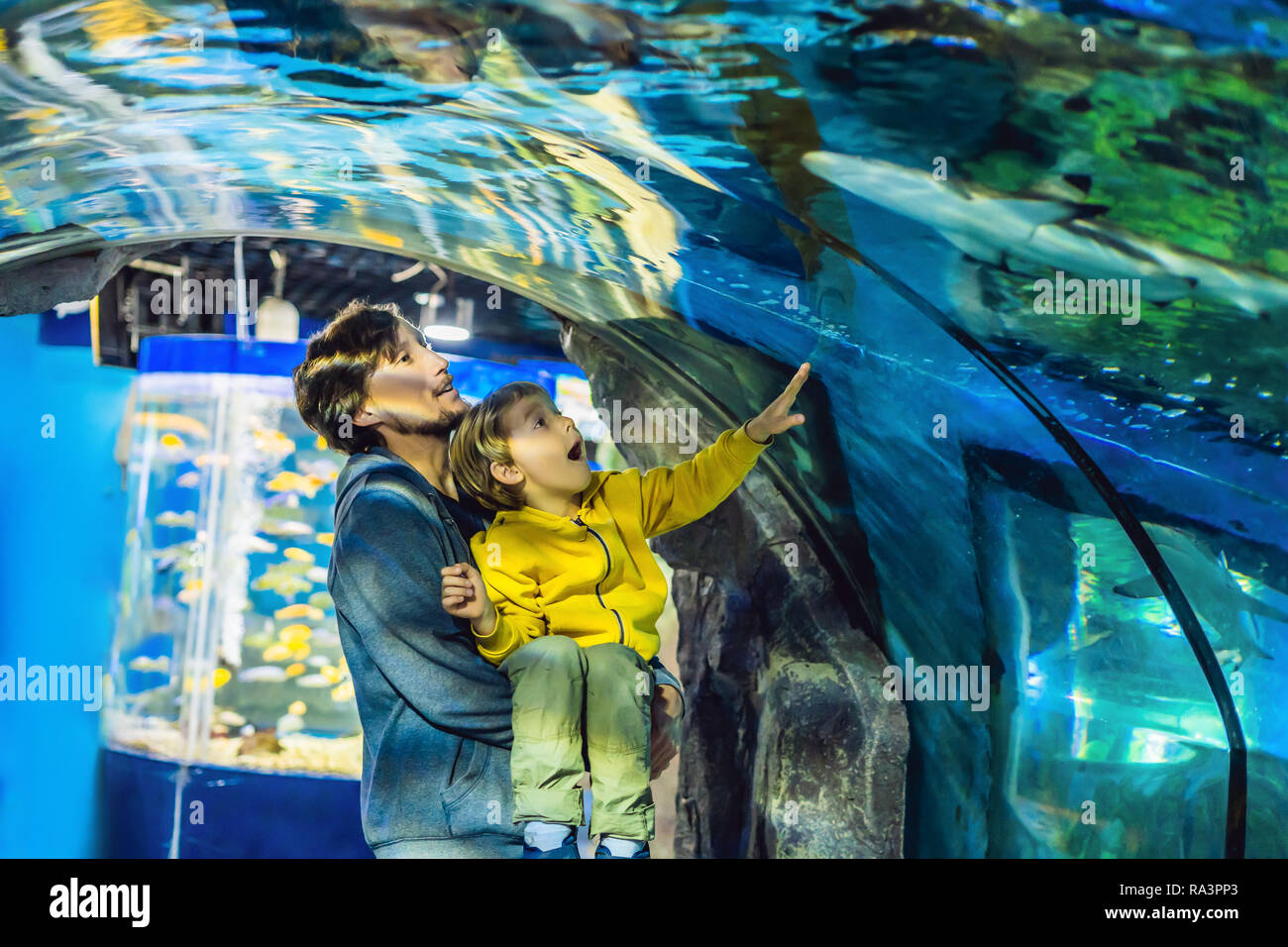 Père et fils regarder les poissons dans l'aquarium en oceanarium Banque D'Images