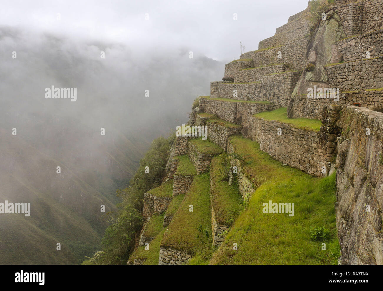 Machu Picchu, au Pérou, la cité perdue des Incas Banque D'Images