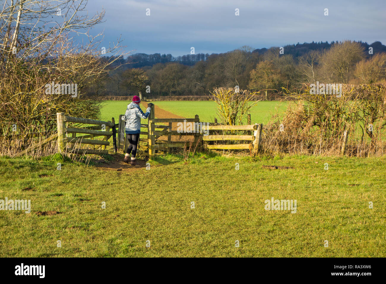 Femme marchant le long du Cœur de l'Angleterre, un sentier de grande randonnée 100 km de Cannock Chase à l'anglais Cotswolds avec éclairage spectaculaire Banque D'Images