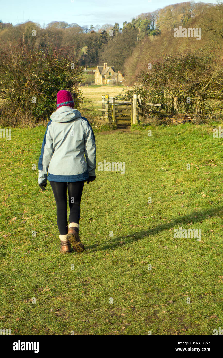 Femme marchant le long du Cœur de l'Angleterre, un sentier de grande randonnée 100 km de Cannock Chase à l'anglais Cotswolds avec éclairage spectaculaire Banque D'Images