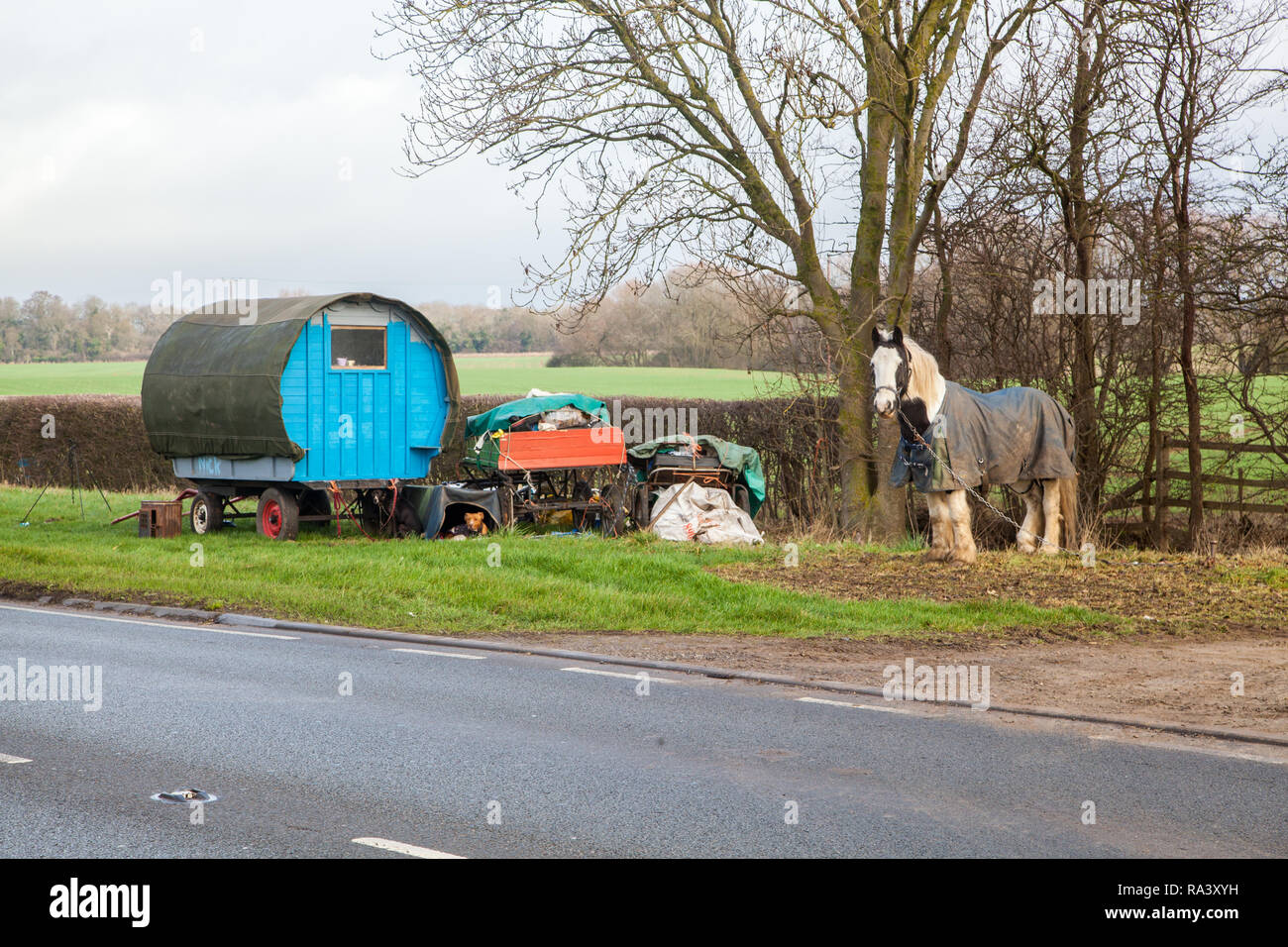 Vivant dans une chambre confortable dotée d'un type traditionnel cheval roulotte tzigane arrêté sur le bord de l'herbe sur le côté de la route pour leurs chevaux à pâturer Banque D'Images