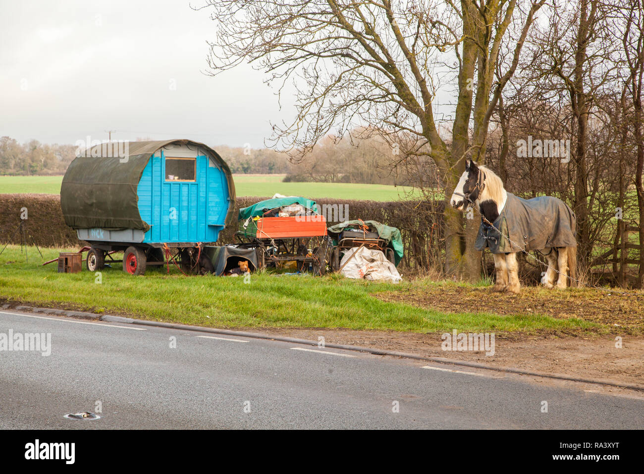Vivant dans une chambre confortable dotée d'un type traditionnel cheval roulotte tzigane arrêté sur le bord de l'herbe sur le côté de la route pour leurs chevaux à pâturer Banque D'Images