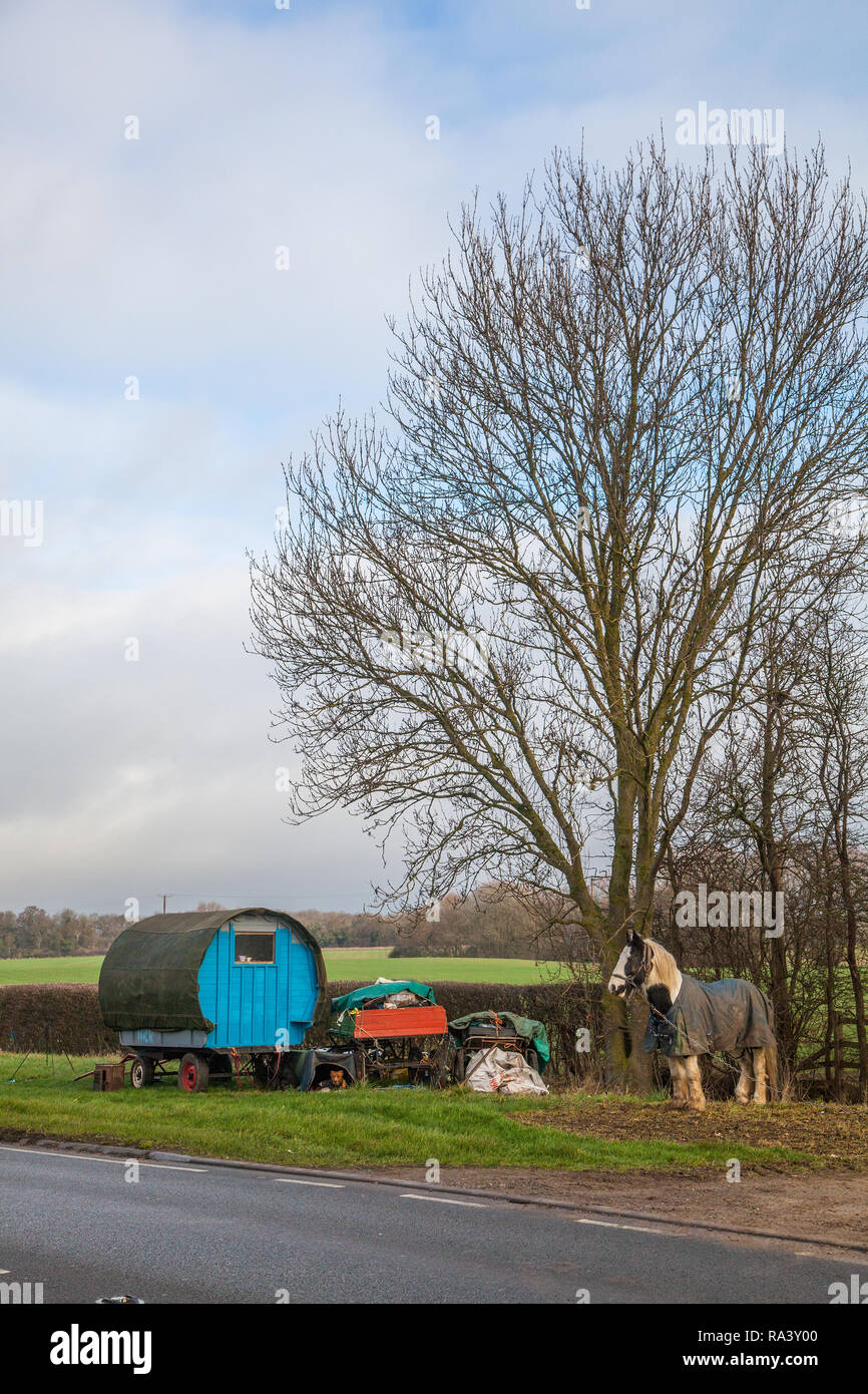 Vivant dans une chambre confortable dotée d'un type traditionnel cheval roulotte tzigane arrêté sur le bord de l'herbe sur le côté de la route pour leurs chevaux à pâturer Banque D'Images