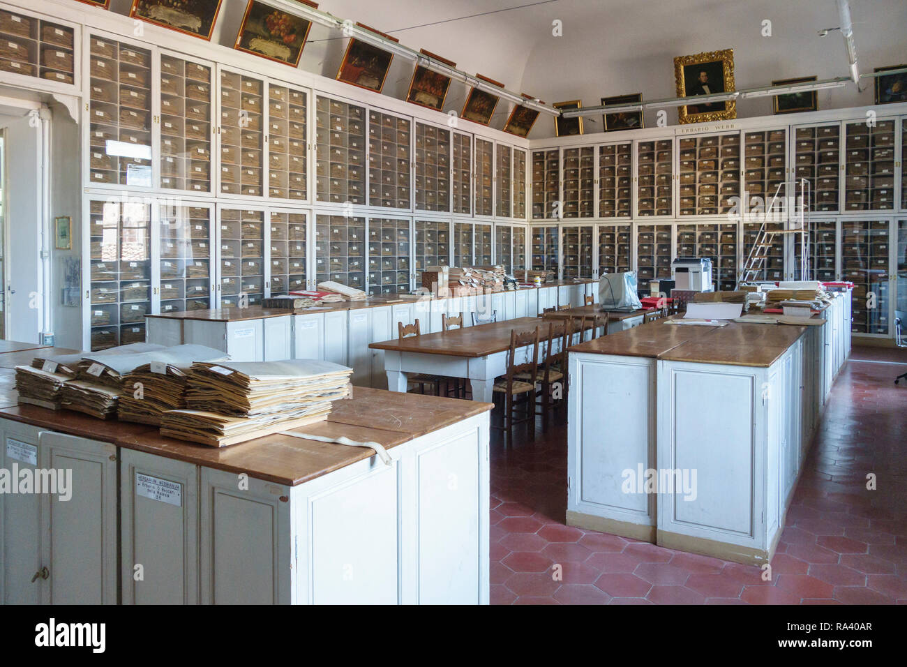 Le musée botanique de Florence, Italie a l'une des plus grandes collections de plantes dans le monde. Le 19c Webb contient plus de 300 000 spécimens d'Herbier Banque D'Images