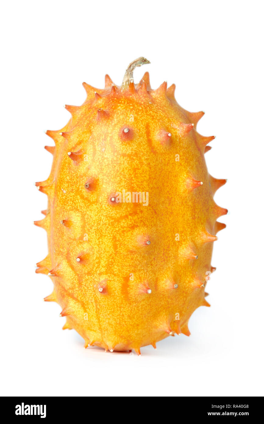 Melon à cornes ou kiwano (Cucumis metuliferus), également connu sous le nom de concombre cornu d'Afrique ou melon, gelée de melon, gourde et couvert melano isolated on white b Banque D'Images