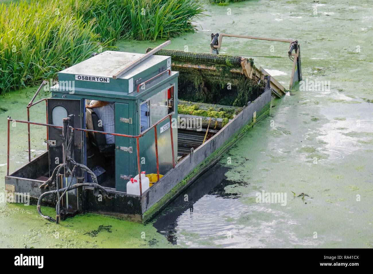 Canal and river trust drague l'effacement du Grantham canal à woolsthorpe par Belvoir, Lincolnshire, Angleterre, RU Banque D'Images