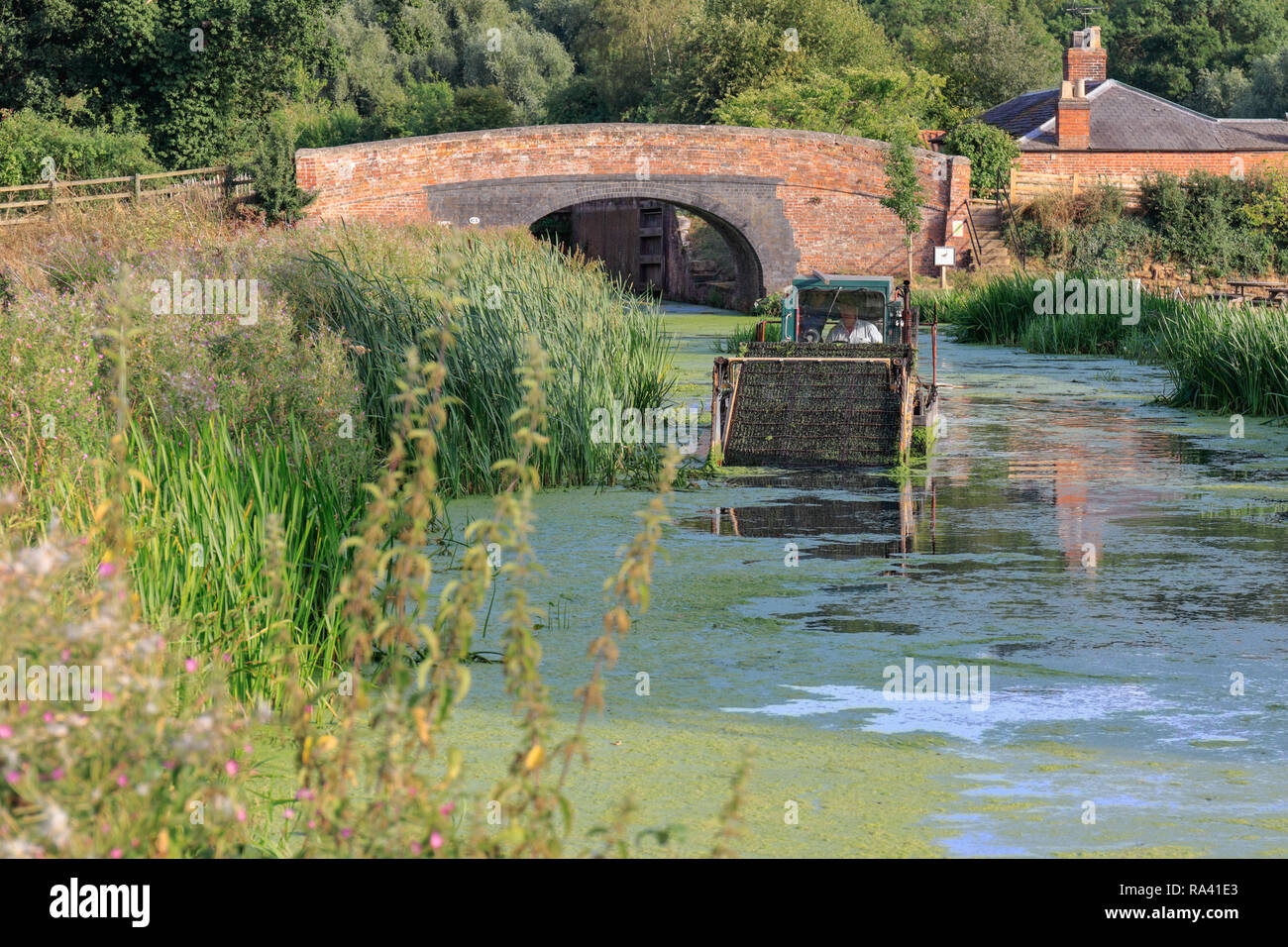 Canal and river trust drague l'effacement du Grantham canal à woolsthorpe par Belvoir, Lincolnshire, Angleterre, RU Banque D'Images