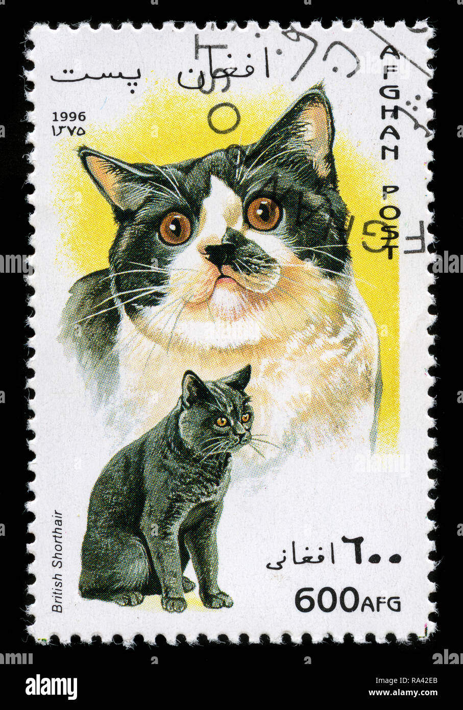 Timbre Emirats Arabes Unis 1972 Ras Al Khaima JO Allemagne - Neuf MNH - Or