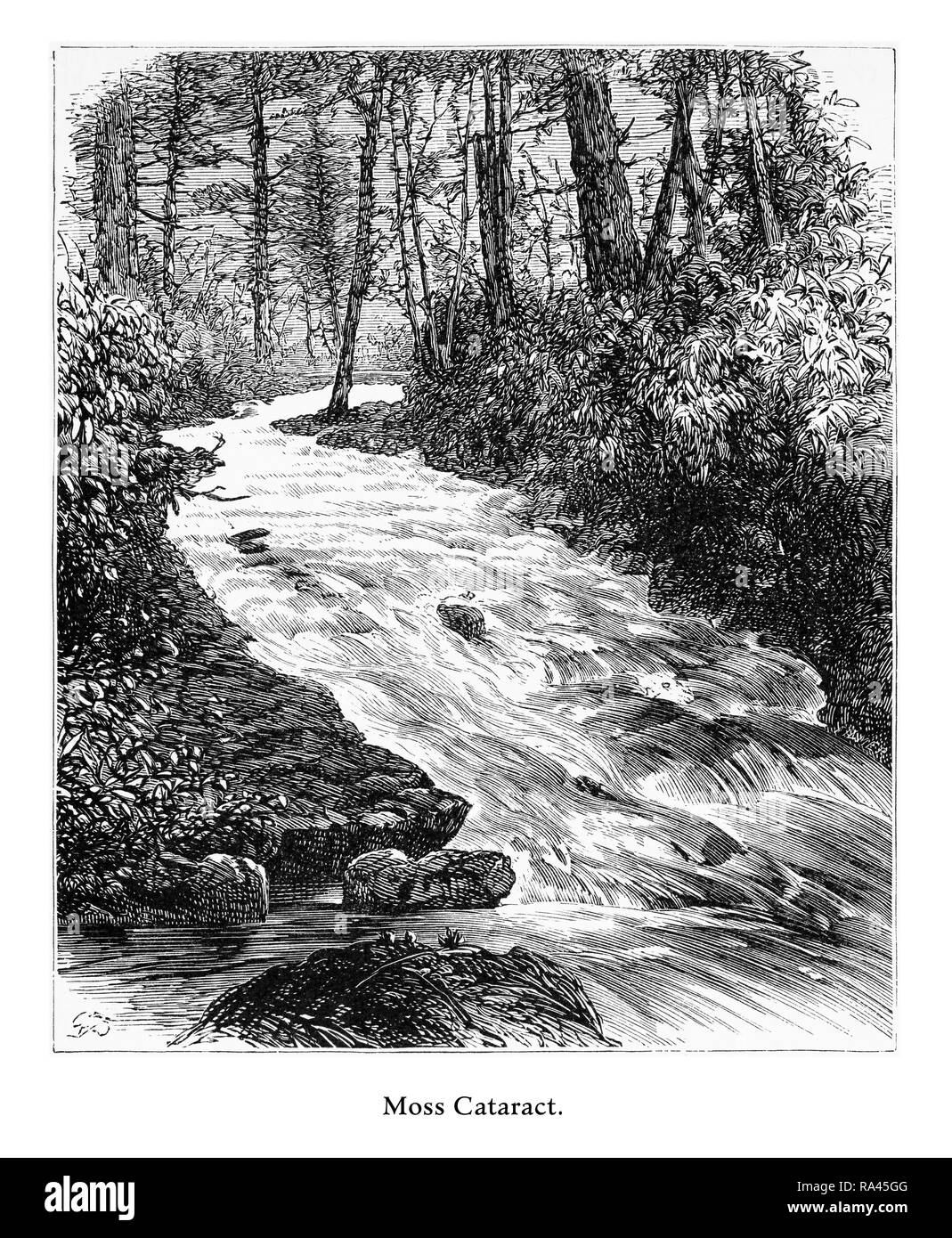 La Cataracte Moss, Rivière Delaware Water Gap, Pennsylvania, United States, American Victorian gravure, 1872 Banque D'Images