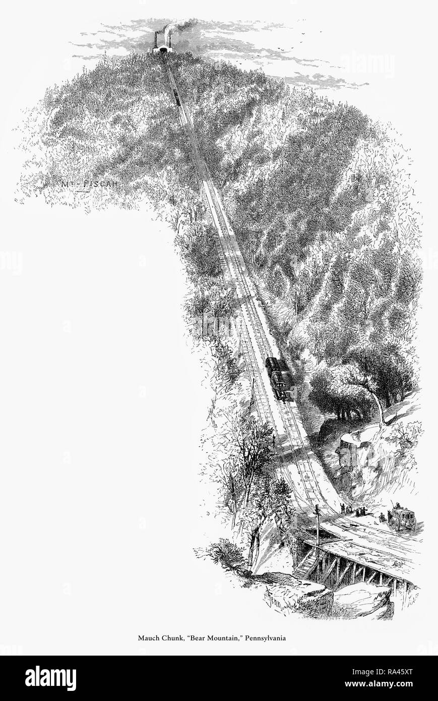 Mauch Cunk "Bear", New York, United States, American Victorian gravure, 1872 Banque D'Images