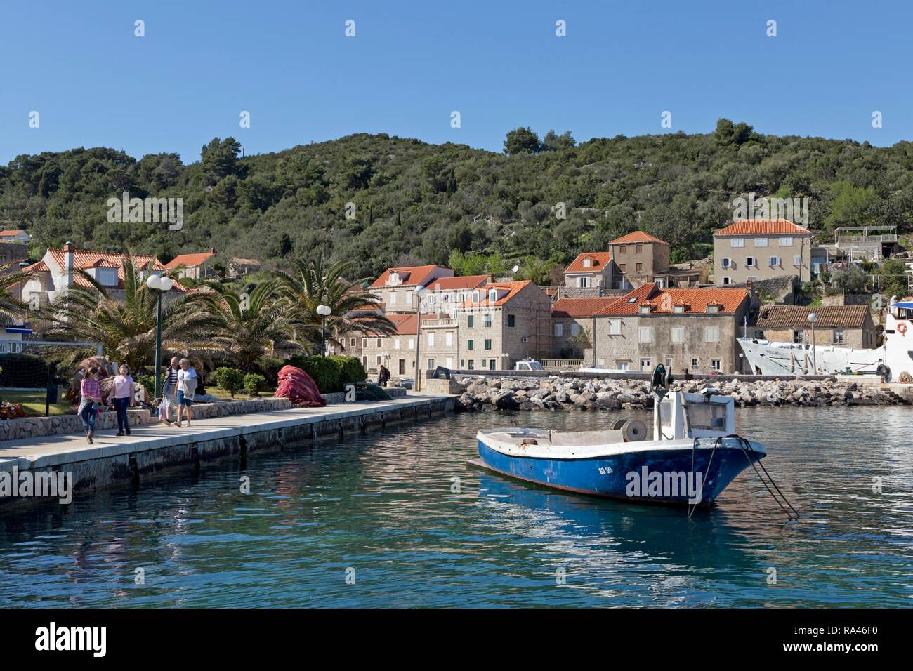 Port de la ville côtière de l'île de Sipan, Lopud, Îles Élaphites, Dalmatie, Croatie Banque D'Images