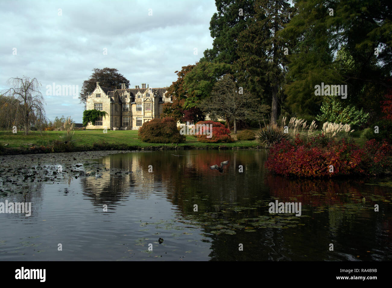 WEST SUSSEX ; ; LE MANOIR ET WAKEHURST ÉTANG Banque D'Images