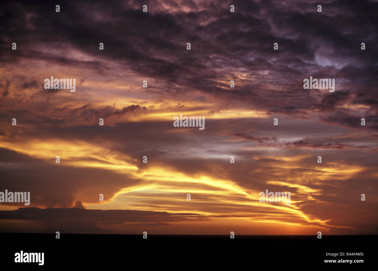 Coucher de soleil SUR DELTA DOWNS CATTLE STATION, Queensland, Australie. Les millions de 500 hectares est l'un des plus importants de bovins appartenant à des Autochtones en stns Aust. Banque D'Images