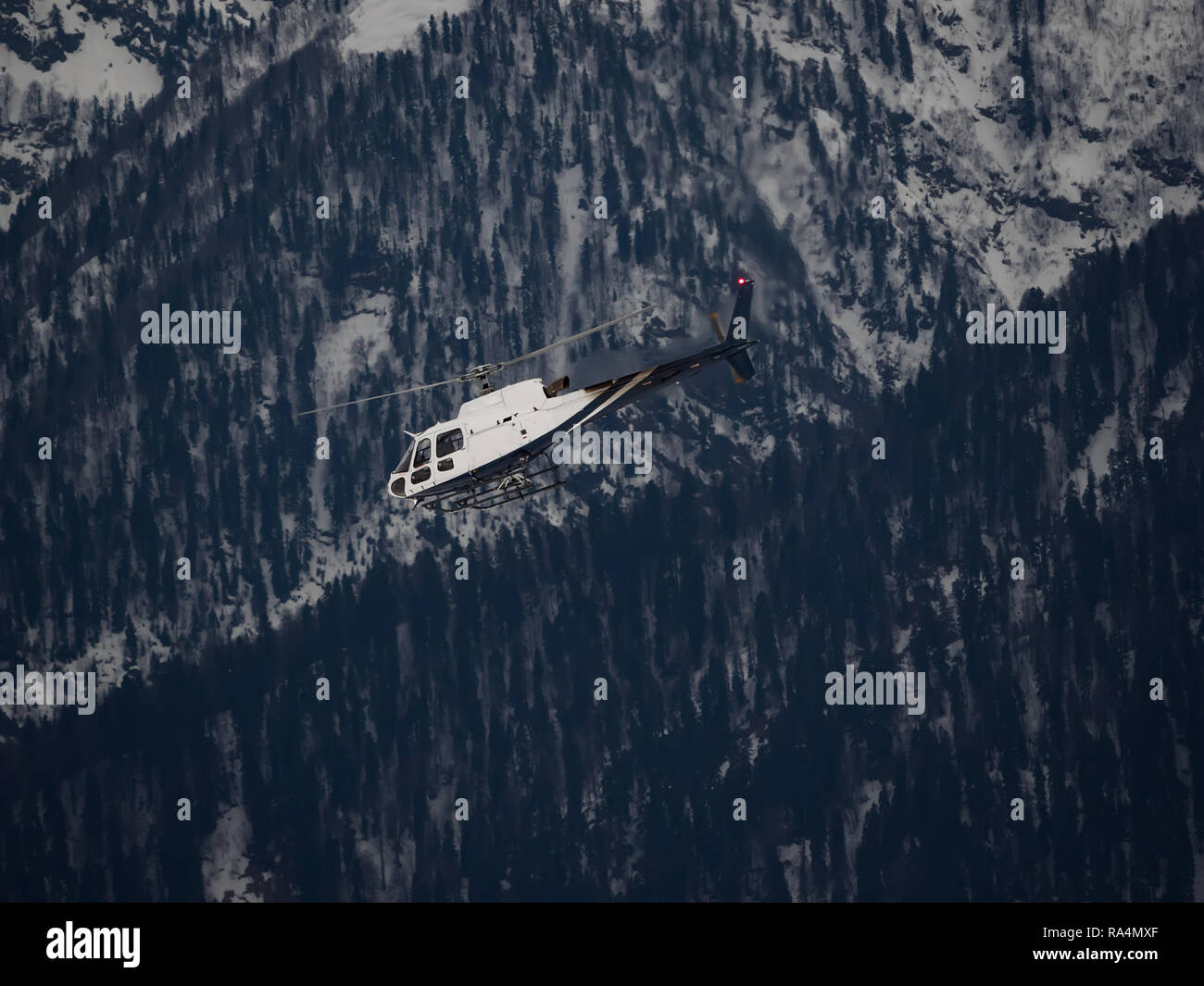 Hélicoptère Blanc survole la forêt enneigée sur un jour nuageux Banque D'Images
