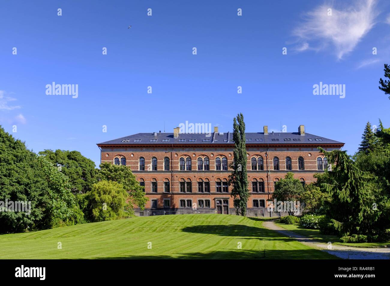 Dania - région - Nouvelle-Zélande - Kopenhaga Danemark budynek Prawo geologiczne Muzeum glowny - Nouvelle-Zélande - centre-ville, le musée géologique - bâtiment principal Banque D'Images