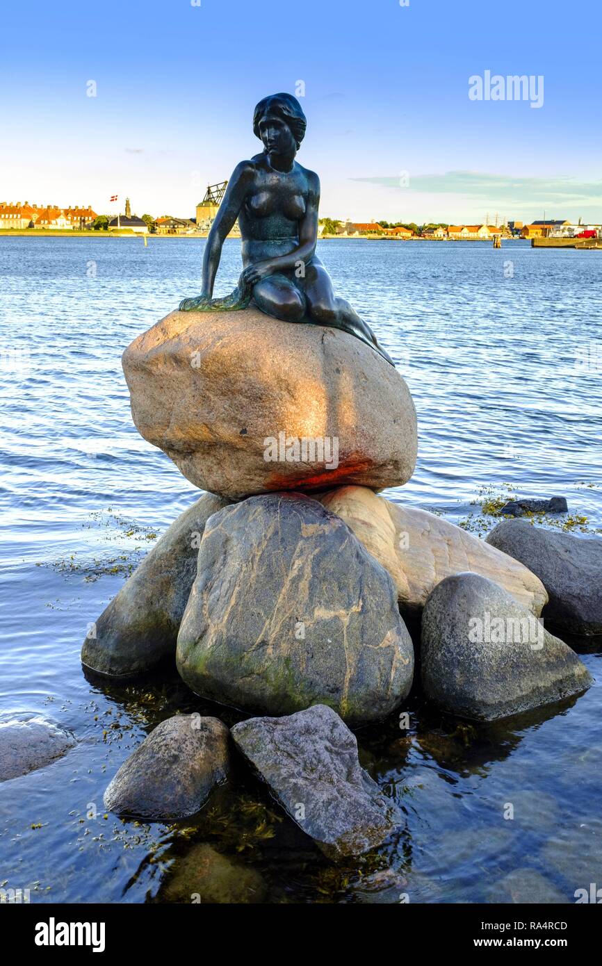 Dania - région Nouvelle-zélande - Kopenhaga - centrum miasta - Mala Syrenka - pomnik postaci z paota Andersena przy promenadzie Langelinie Danemark - Nouvelle-Zélande - Copenhague - statue de la Petite Sirène o Banque D'Images