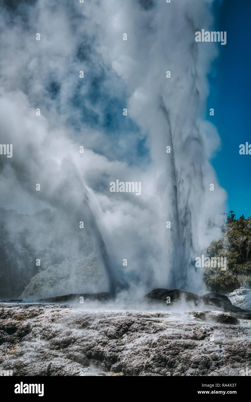 Fontaine verticale de geyser en éruption en Nouvelle-Zélande Parc National de l'énergie géothermique Banque D'Images