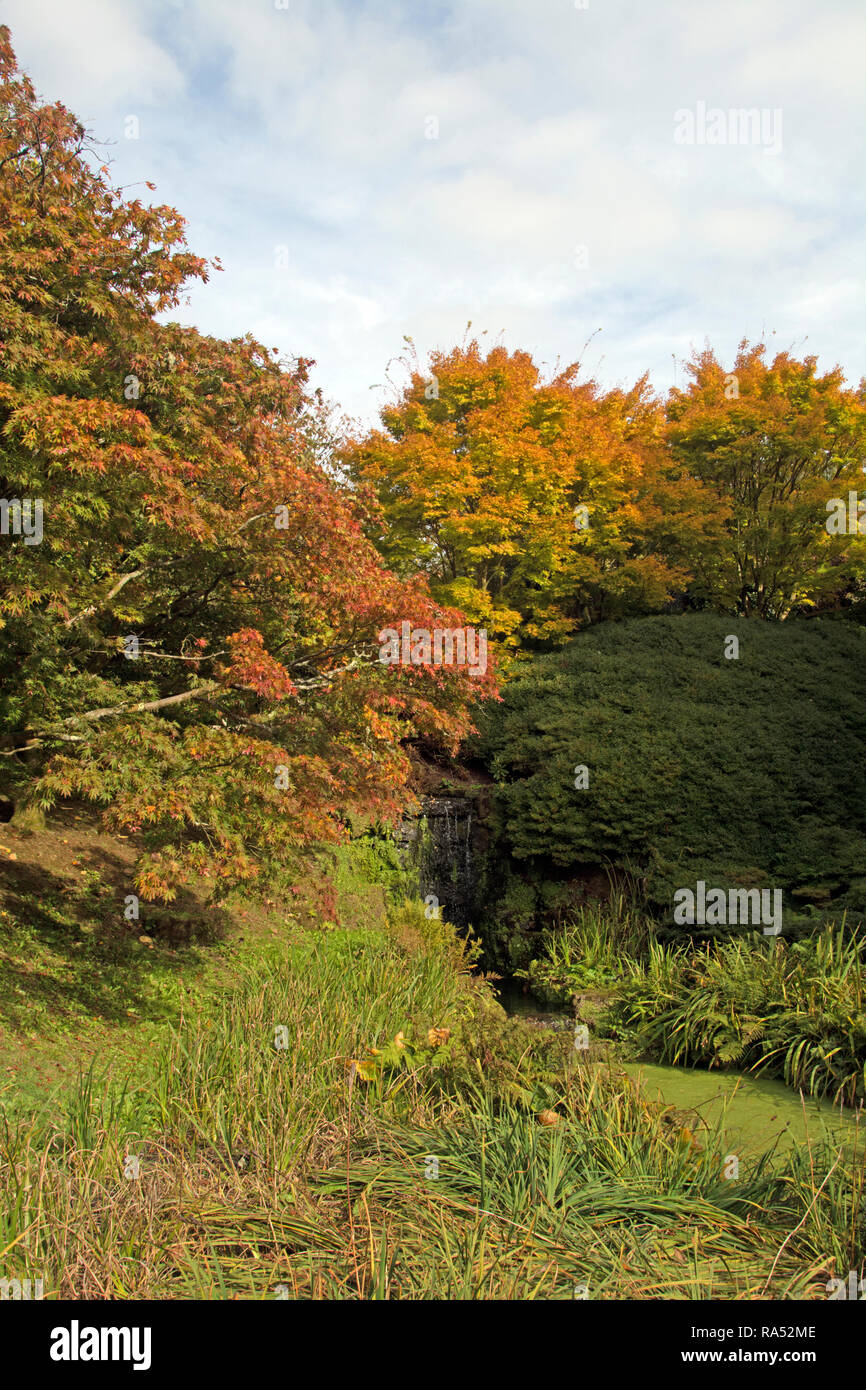 WEST SUSSEX ; CASCADE ; WAKEHURST Banque D'Images