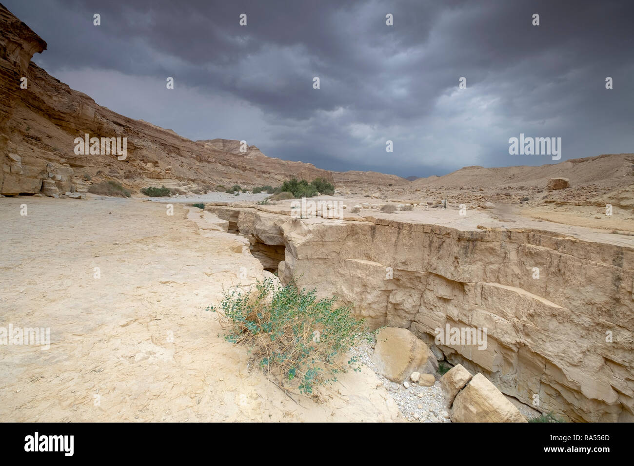 Une profonde gorge de la rivière à sec à découper dans le grès à sec par les eaux de crue. La seule eau qui s'écoule dans la mer Morte, Israël Banque D'Images