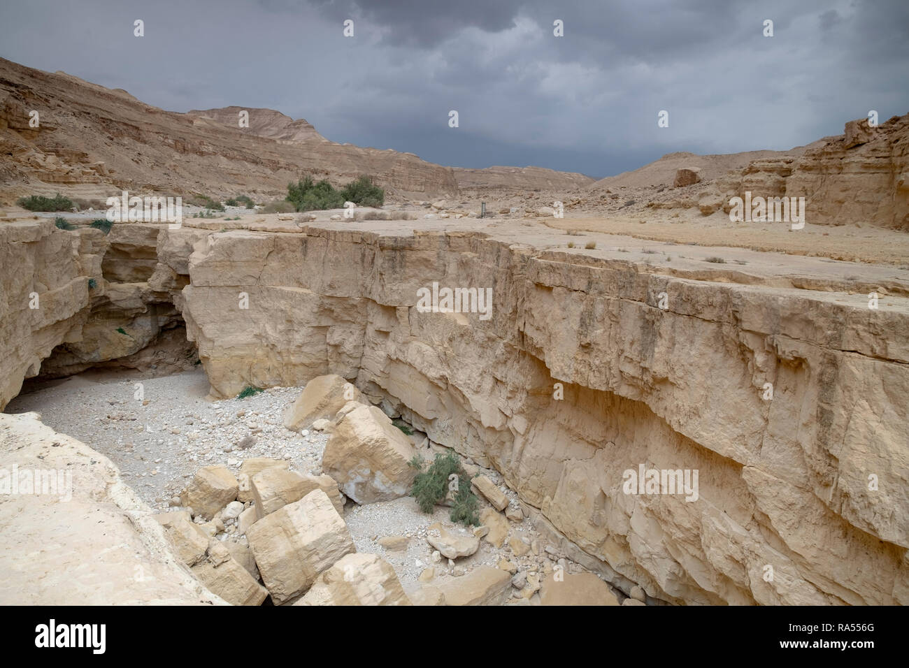 Une profonde gorge de la rivière à sec à découper dans le grès à sec par les eaux de crue. La seule eau qui s'écoule dans la mer Morte, Israël Banque D'Images