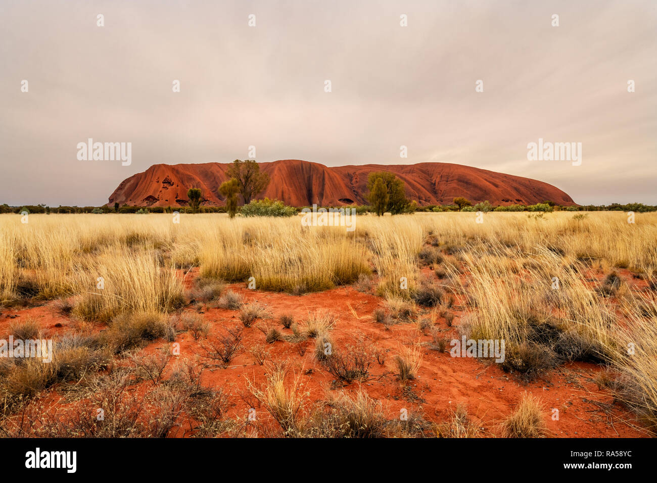 Vue sur la partie sud du célèbre Uluru. Banque D'Images