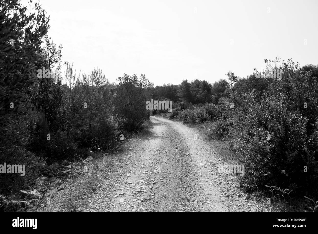 Image en noir et blanc d'une route poussiéreuse et vide macadam à travers désert et forêt de l'île croate de Brac. Creux de la route au cours de l'été nature Banque D'Images