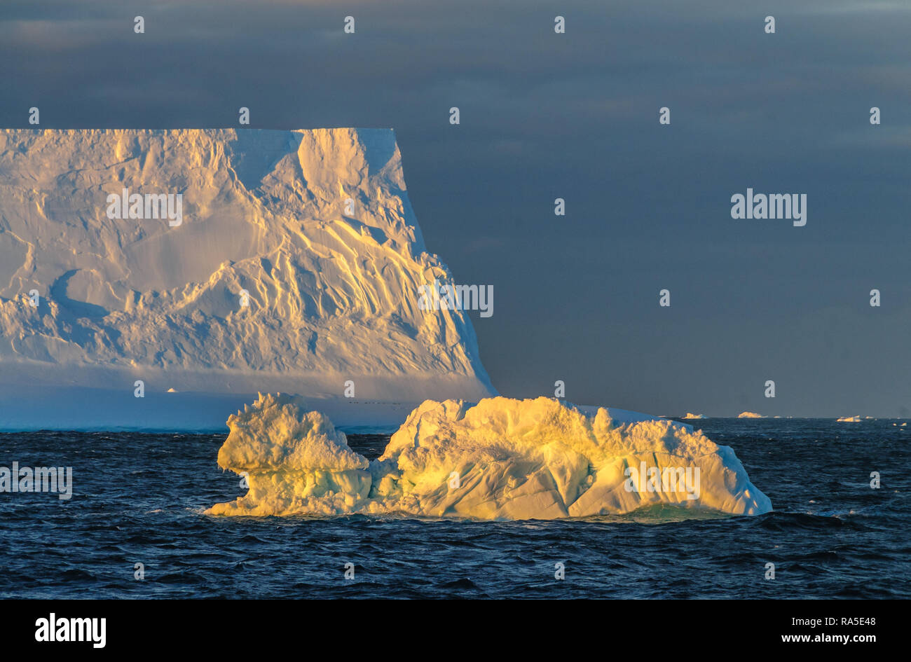 Coucher du Soleil : l'Antarctique des icebergs dans la mer de Weddell, près de la péninsule Antarctique, comme vu à partir d'un navire d'exploration de l'Antarctique Banque D'Images