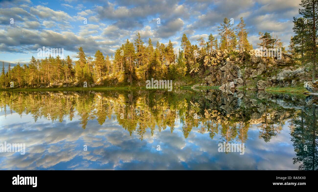Les pins (Pinus), les nuages et les roches reflète dans le lac, Kittilä, Lappi, Finlande Banque D'Images