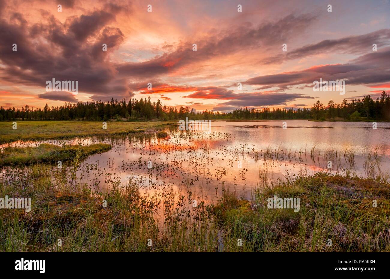 Nuages orange au coucher du soleil, reflétée dans le lac, les forêts, les milieux humides, le maure, Kittilä, Lappi, Finlande, Finlande Banque D'Images