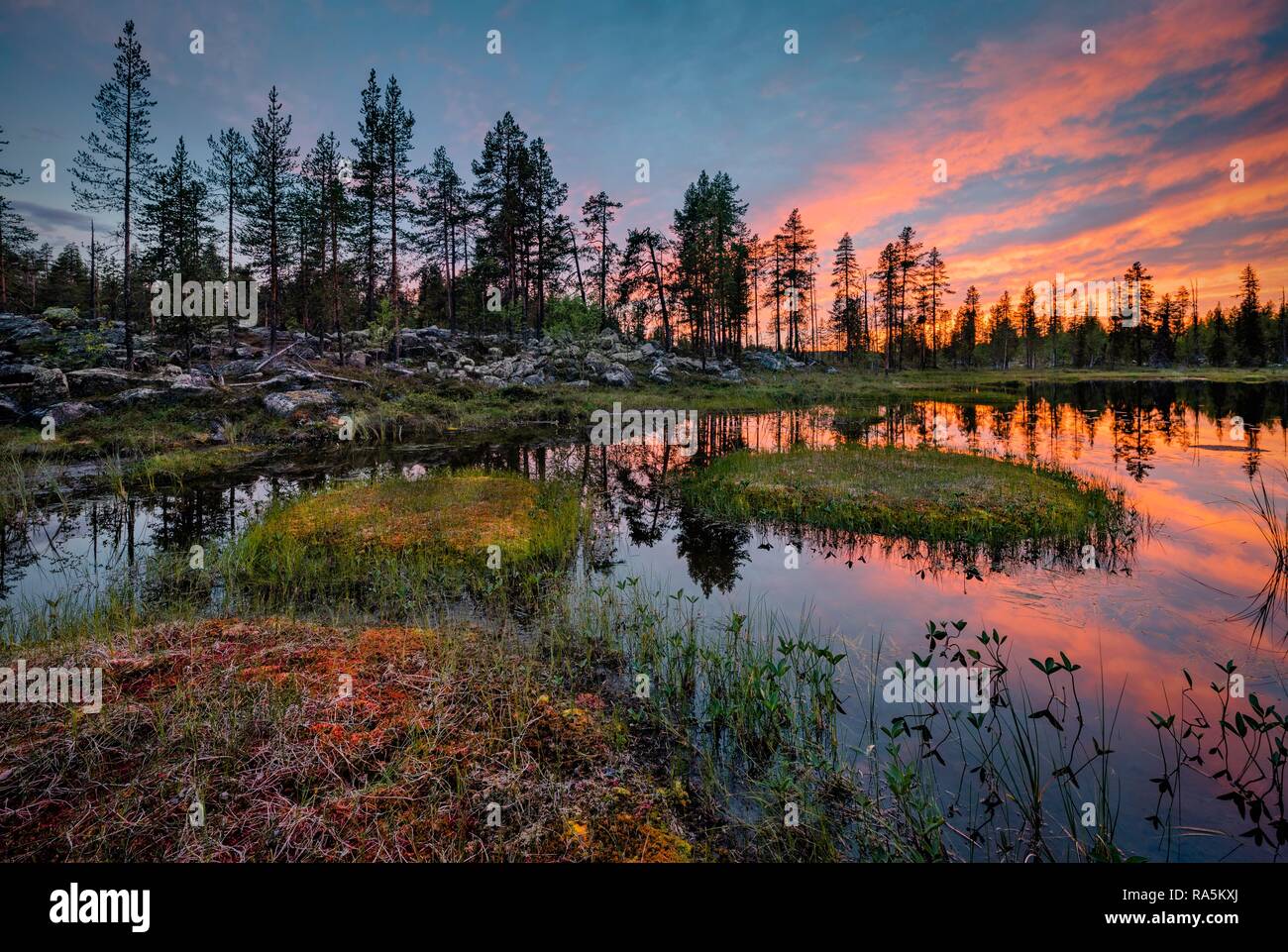 Nuages orange au coucher du soleil, reflétée dans le lac, la forêt, les petites îles avec de l'herbe, Kittilä, Lappi, Finlande Banque D'Images