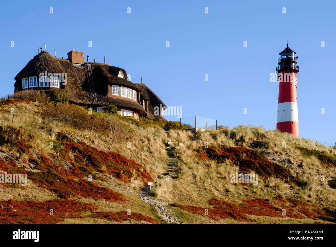 Maison typique frison avec toit de chaume et le phare dans les dunes de Hörnum, Sylt, Nordfriesland, Schleswig-Holstein Banque D'Images