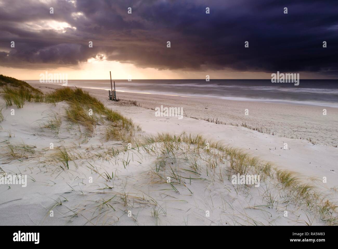 Plage à l'Ellenbogen, la pointe nord de Sylt, Nordfriesland, Schleswig-Holstein, Allemagne Banque D'Images