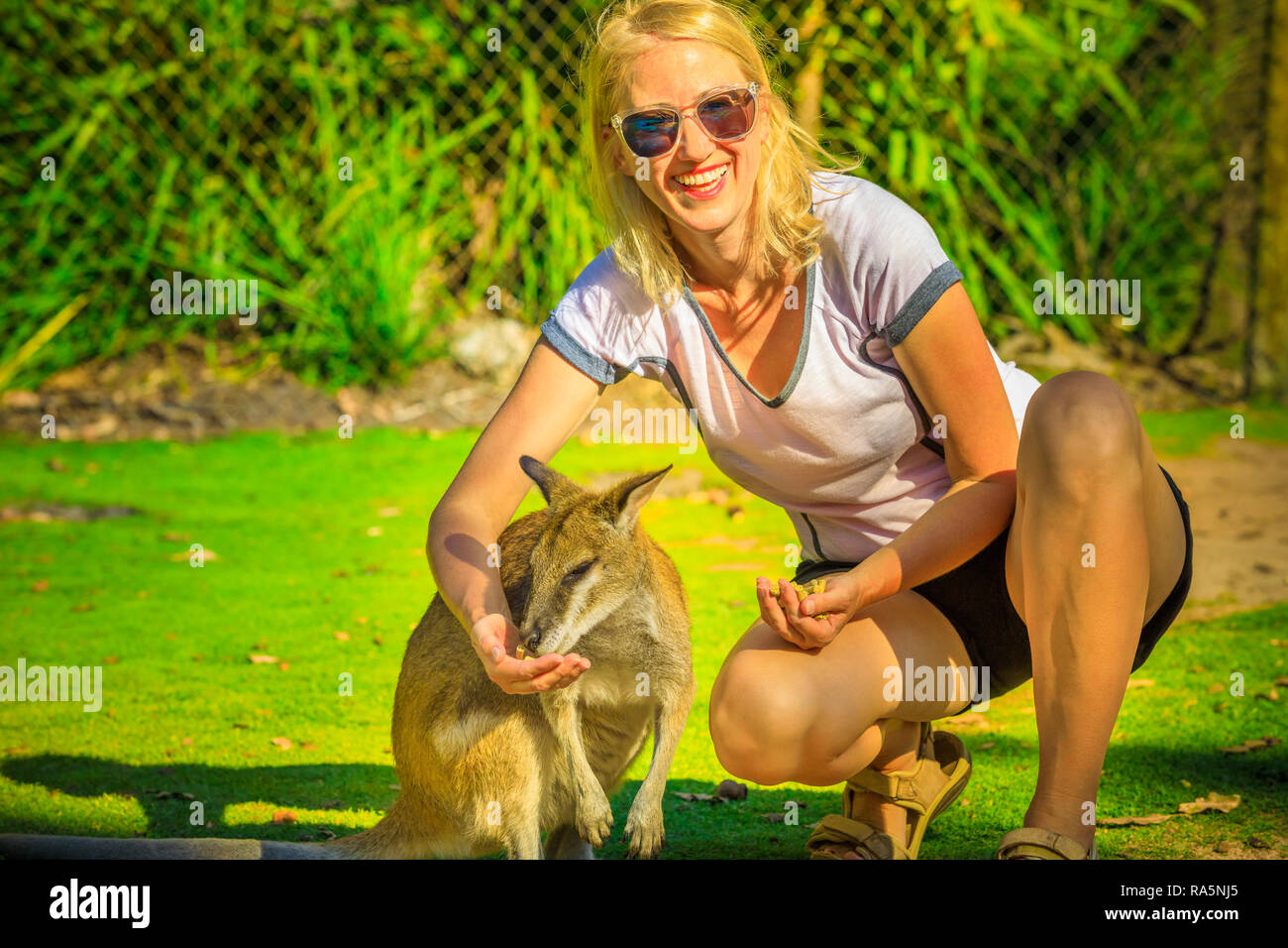 Happy blonde woman eating kangaroo dans la nature. Femme touriste jouit  d'icône des animaux Australiens du pays. Whiteman, près de Perth en  Australie occidentale. Journée ensoleillée Photo Stock - Alamy