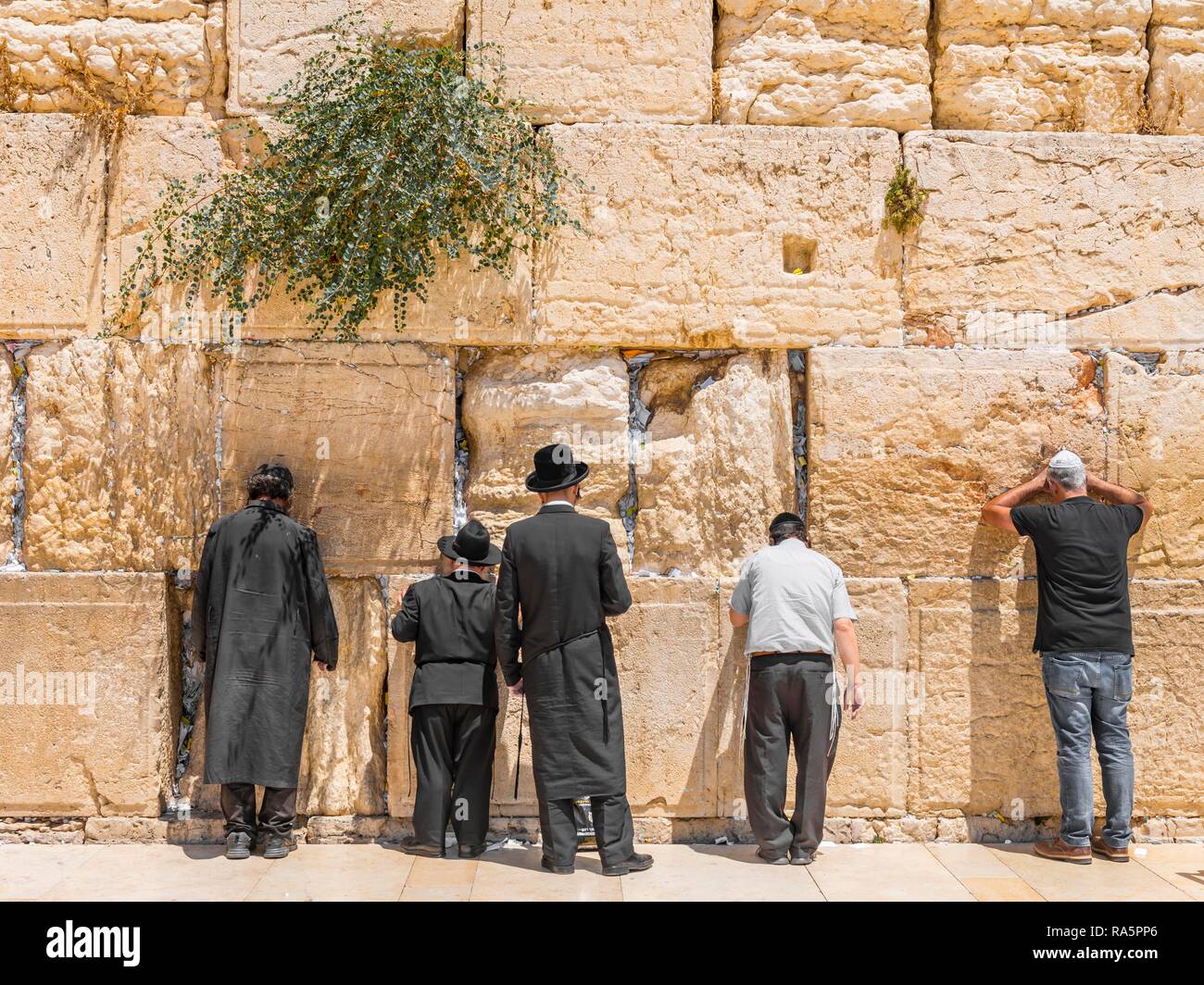 Les Juifs orthodoxes priant au Mur des lamentations, Jérusalem, Israël Banque D'Images