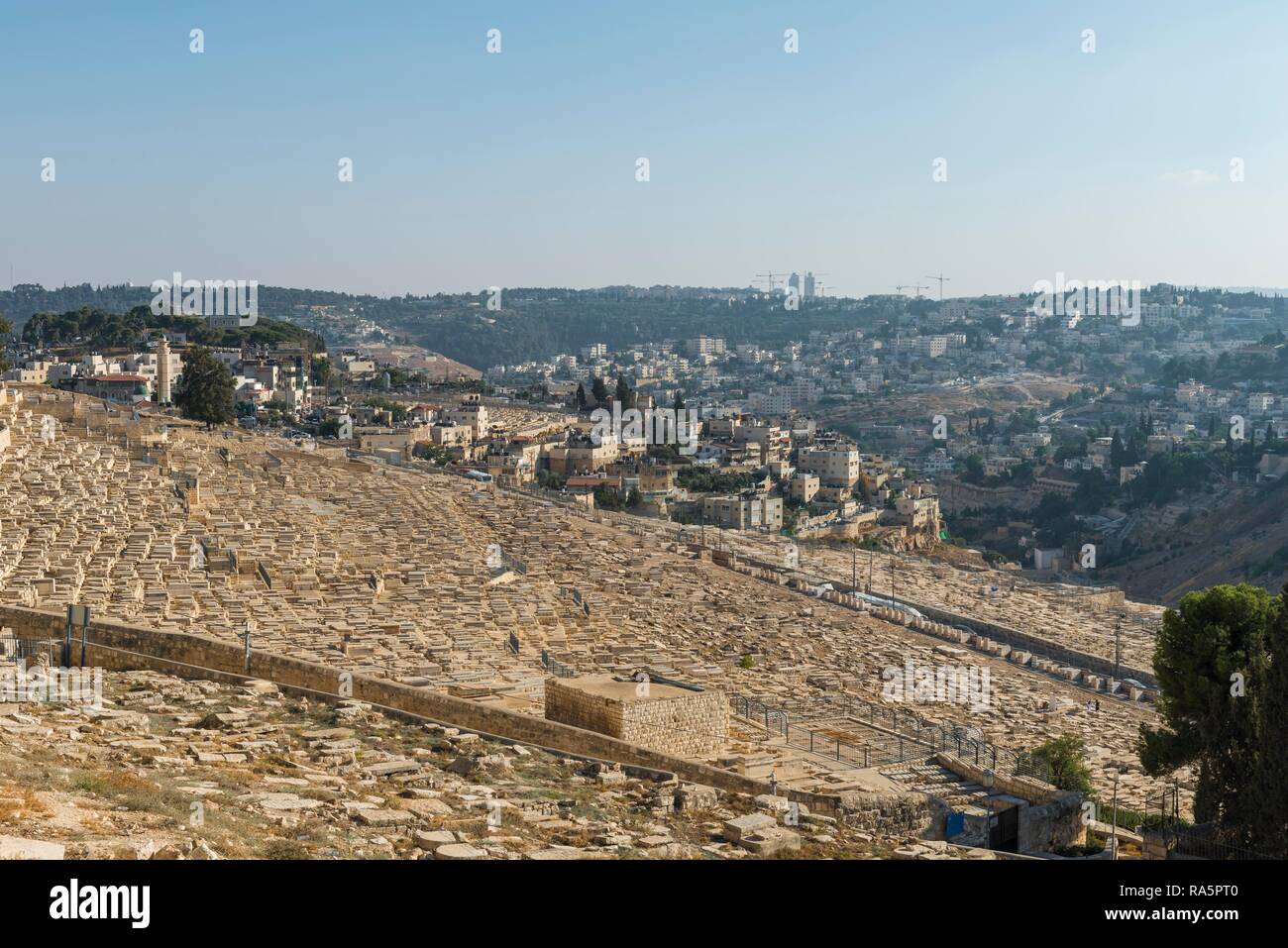 Tombes, le cimetière juif au sud Mont des Oliviers, vue sur Jérusalem, Israël Banque D'Images