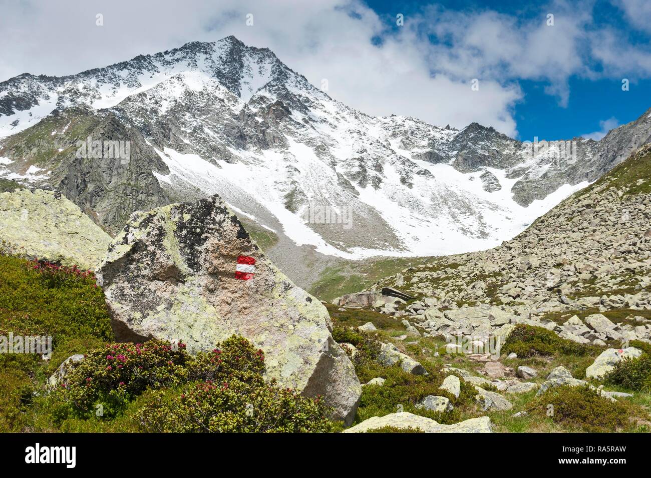 Façon dont le marquage, sentier de randonnée dans les montagnes, Rauhkofel (3251 m) ou Rauchkofel à l'arrière, Monte Fumo, près de Kasern, Casere Banque D'Images