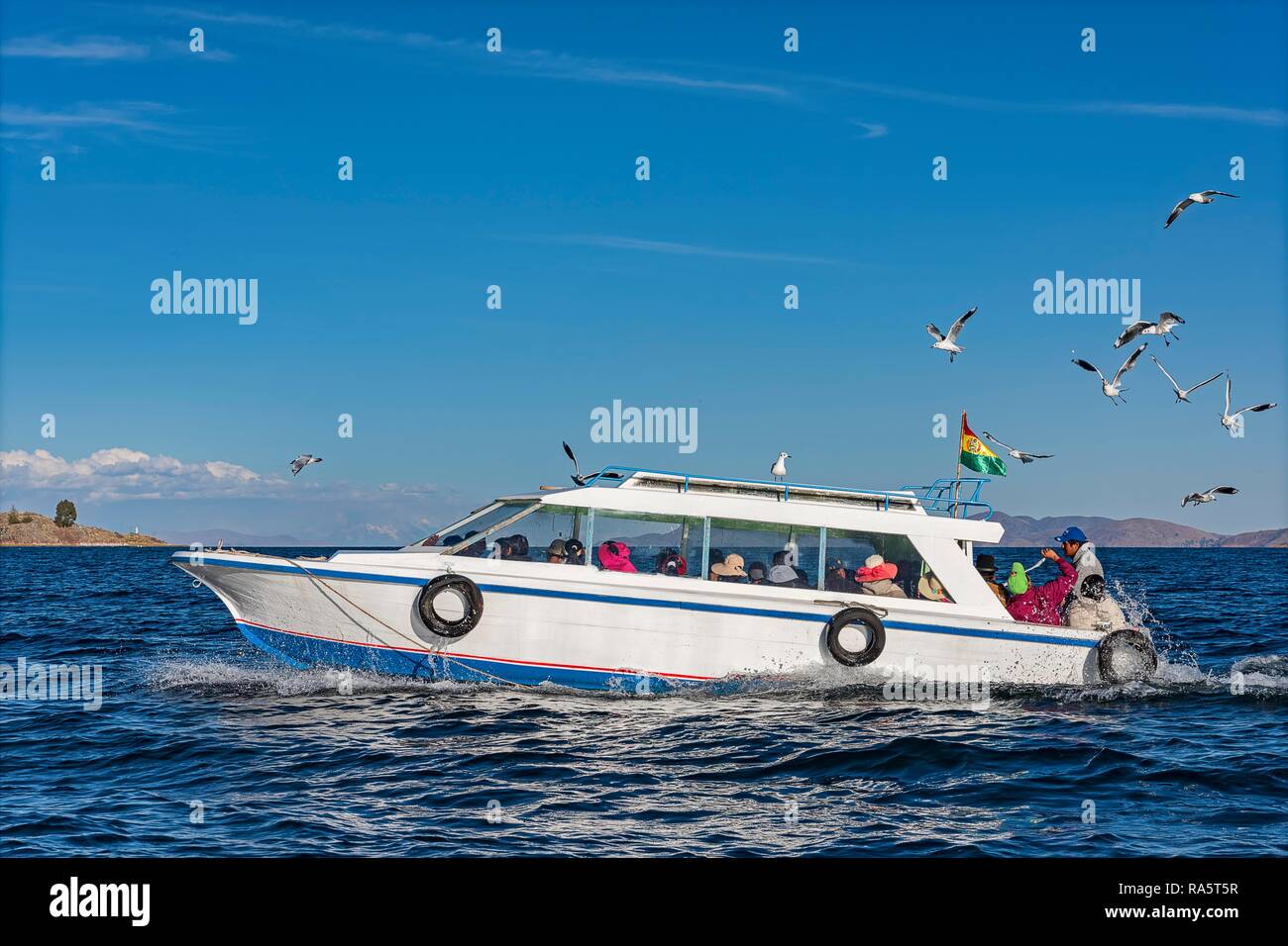 Bateau avec mouettes, Lac Titicaca, Bolivie Banque D'Images