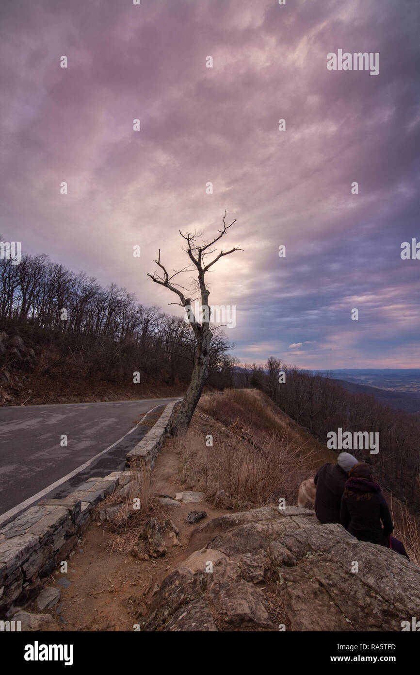 Arbre durant la nouvelle année lever du soleil dans le tunnel oublier dans Shenandoah National Park Banque D'Images